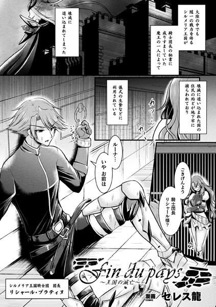 Fin du pays〜王国の滅亡〜【単話】/セレス龍/キルタイムコミュニケーション  エロ画像2455