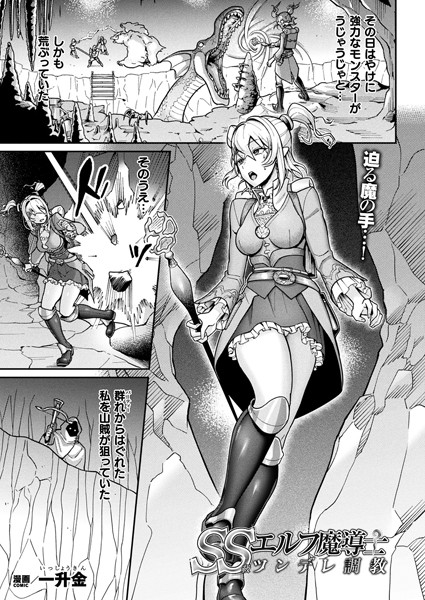 SS級エルフ魔導士 ツンデレ調教【単話】/一升金/キルタイムコミュニケーション  エロ画像6537