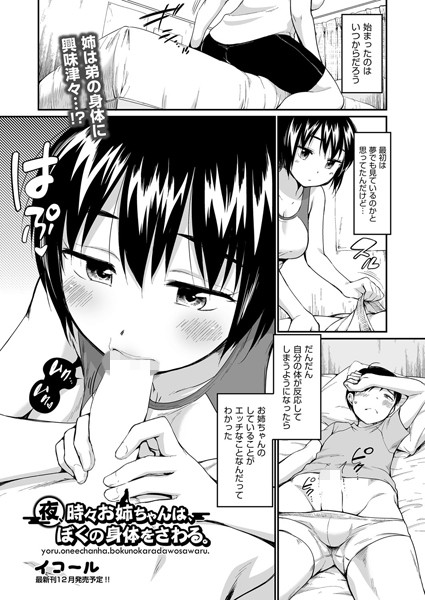 夜、時々お姉ちゃんは、ぼくの身体をさわる。/イコール/ヒット出版社  エロ画像960