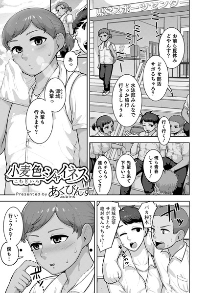 小麦色シャイネス/あくびんす/メディアックス  エロ画像904