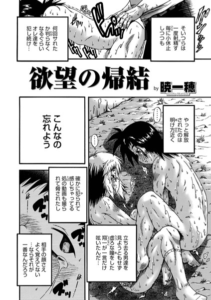 欲望の帰結/暁一穂/メディアックス  エロ画像1278