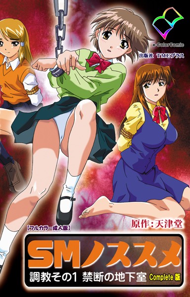 SMノススメ 調教 その1 禁断の地下室 Complete版【フルカラー成人版】/—-/TMEプラス  エロ画像6351