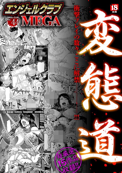 エンジェルクラブMEGA Vol.44/アヘ丸 井上七樹 雨山電信 ICE 偽パクマンさん/エンジェル出版  エロ画像1706