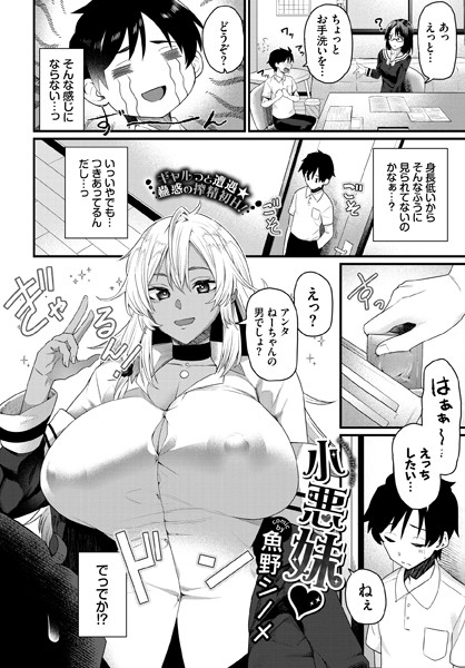 小悪妹/魚野シノメ コミックバベル編集部/文苑堂  エロ画像1476