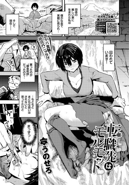 転職先はモルモット/うのせろ コミックバベル編集部/文苑堂  エロ画像1826