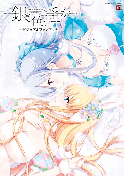 銀色、遥か ビジュアルファンブック/テックジャイアン編集部/KADOKAWA  エロ画像4162