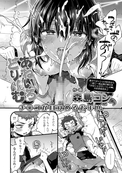 あねいろどりーむ/森島コン/茜新社  エロ画像531