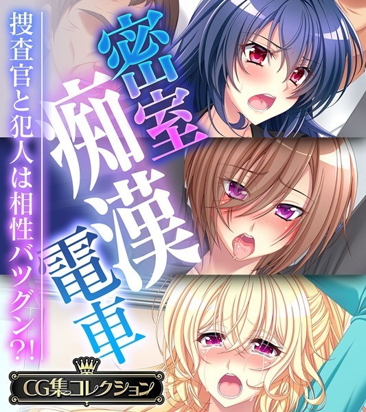 密室痴●電車 〜捜査官と犯人は相性バツグン？！〜【CG集コレクション】/大人のSEXY絵本/どろっぷす！  エロ画像1963