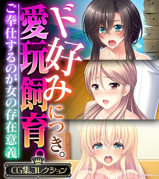 ド好みにつき。愛玩飼育 。 〜ご奉仕するのが女の存在意義〜【CG集コレクション】/大人のSEXY絵本/どろっぷす！  エロ画像2449