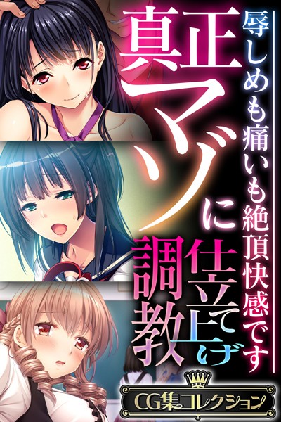 真正マゾに仕立て上げ調教 〜辱しめも痛いも絶頂快感です〜【CG集コレクション】/大人のSEXY絵本/どろっぷす！  エロ画像3401