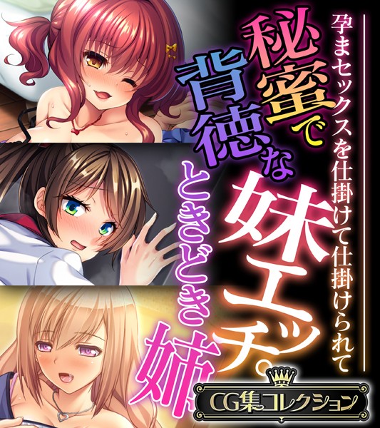 秘蜜で背徳な妹エッチ。ときどき姉 〜孕まセックスを仕掛けて仕掛けられて〜【CG集コレクション】/大人のSEXY絵本/どろっぷす！  エロ画像5107