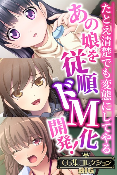 あの娘を従順ドM化開発！〜たとえ清楚でも変態にしてやる〜【CG集コレクションBIG】/大人のSEXY絵本/どろっぷす！  エロ画像7331