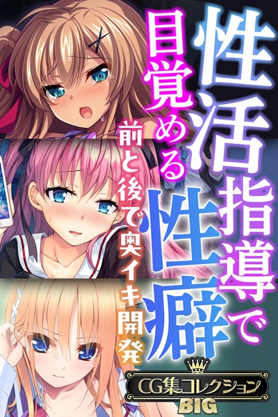 性活指導で目覚める性癖〜前と後で奥イキ開発〜【CG集コレクションBIG】/大人のSEXY絵本/どろっぷす！  エロ画像7918