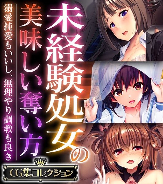 未経験処女の美味しい奪い方 〜溺愛純愛もいいし、無理やり調教も良き〜【CG集コレクション】/大人のSEXY絵本/どろっぷす！  エロ画像7929