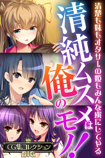 清純ムスメは俺のモノ！〜清楚も妹もオタサーの姫もみんな虜にしてやる〜【CG集コレクションBIG】/大人のSEXY絵本/どろっぷす！  エロ画像8403