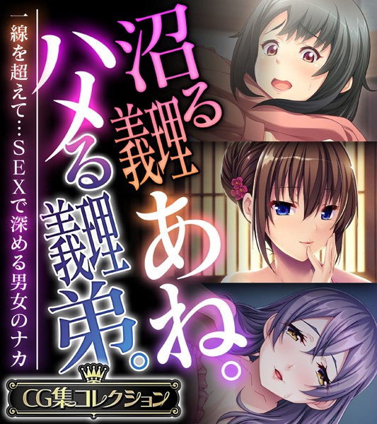 沼る義理あね。ハメる義理弟。 〜一線を超えて…SEXで深める男女のナカ〜【CG集コレクション】/大人のSEXY絵本/どろっぷす！  エロ画像8762