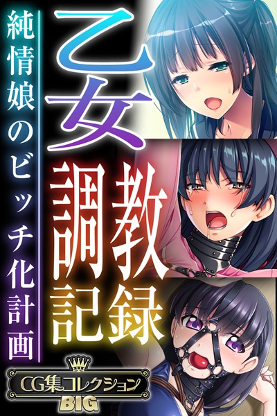 乙女調教記録〜純情娘のビッチ化計画〜【CG集コレクションBIG】/大人のSEXY絵本/どろっぷす！  エロ画像9009