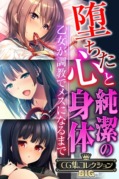 堕ちた心と純潔の身体〜乙女が調教でメスになるまで〜【CG集コレクションBIG】/大人のSEXY絵本/どろっぷす！  エロ画像9072