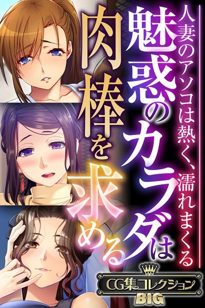 魅惑のカラダは肉棒を求める〜人妻のアソコは熱く、濡れまくる〜【CG集コレクションBIG】/大人のSEXY絵本/どろっぷす！  エロ画像9135