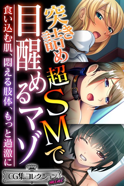 突き詰め超SMで目醒めるマゾ〜食い込む肌、悶える肢体、もっと過激に〜【CG集コレクション ミニ】/大人のSEXY絵本/どろっぷす！  エロ画像9649
