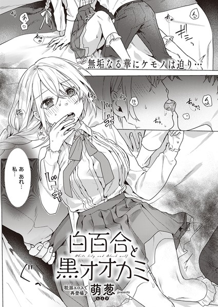 白百合と黒オオカミ/萌葱/ジーオーティー  エロ画像2301