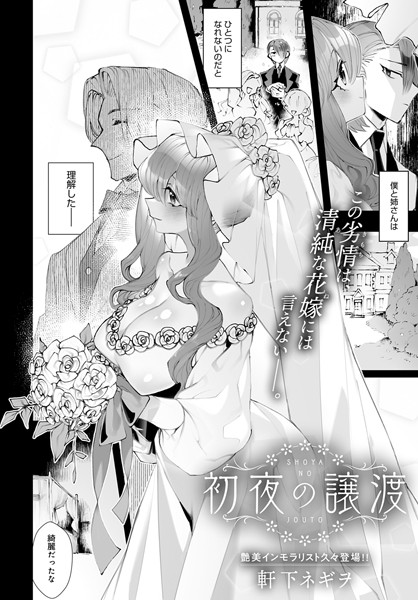 初夜の譲渡/軒下ネギヲ/ジーオーティー  エロ画像2333