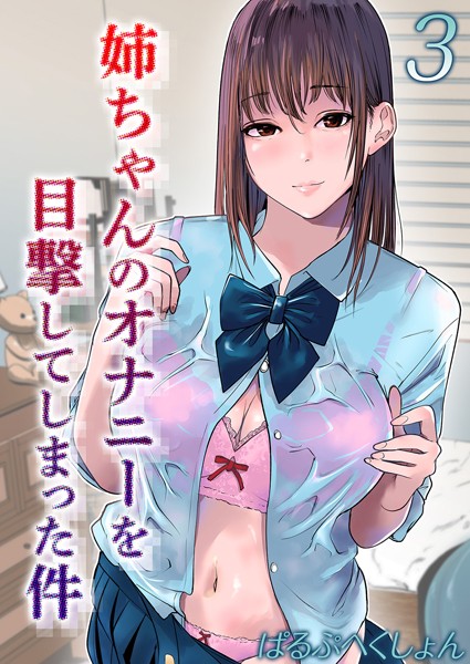 姉ちゃんのオナニーを目撃してしまった件（3）/ぱるぷへくしょん/ジーオーティー  エロ画像3349