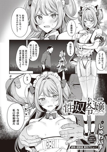 性奴令嬢 〜前編〜/しゅわバチ/ジーオーティー  エロ画像5188