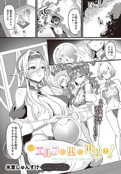 このエルフの里に再興を！/氷室しゅんすけ/D-core  エロ画像39